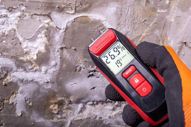 Best Mold Testing  in Bayard, NE