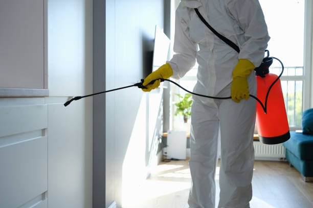 Best Certified Mold Removal  in Bayard, NE