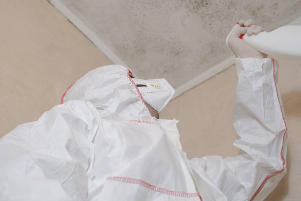 Best Mold Remediation  in Bayard, NE