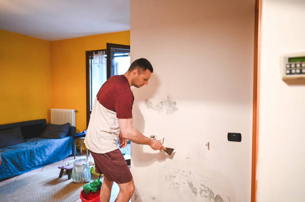 Home Mold Removal in Bayard, NE